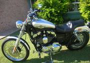 For sale Harley Sportster