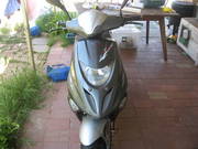 Aldy Moto Couger Limited edition